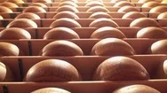 Parmesan Wheels Cheese Forms Seasoning At A Parmigiano Reggiano Factory Stock Footage