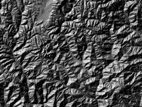 Paro, Bhutan. Bilevel elevation map with lakes and rivers Stockillustratie