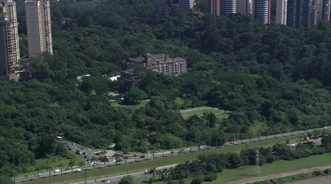 Parque Burle Marx Vídeo Stock 65443098