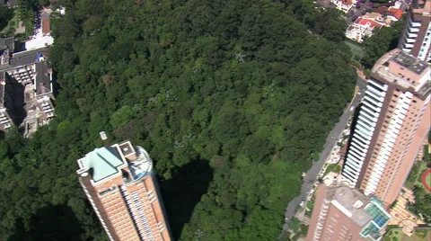 Parque Burle Marx Vídeo Stock 65443105