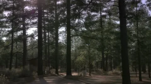 Parque Constitucion Mexico steadicam 库存影片 10840949