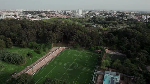 Parque da Cidade do Porto, emphasizing its role as a key sports and fitness 库存影片 322105018