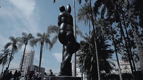 Parque da Luz - Brazil Stock Footage 93857927