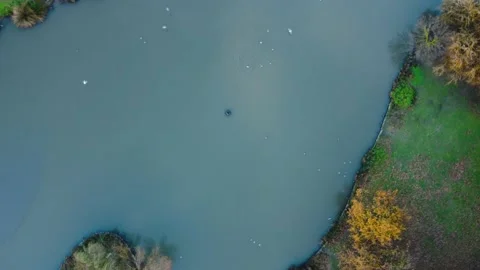 Parque da Paz Lake in Almada, Portugal Video stock 145919027