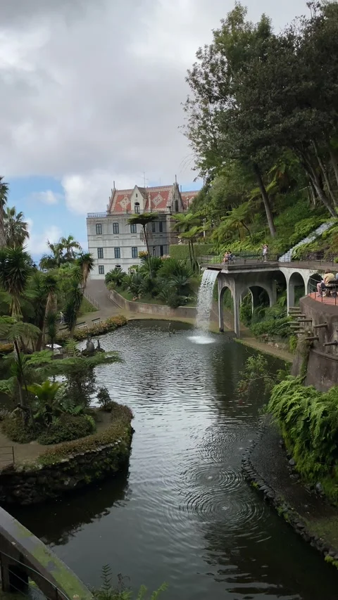 Parque da Santa Catarina ind Funchal, Madeira that feels like Paradise Stock Footage