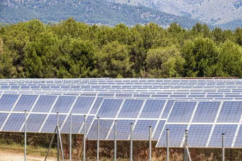 Parque de energa solar fotovoltaica, ses Barraques, Calvi, Mallorca, Balearic Stock Photos