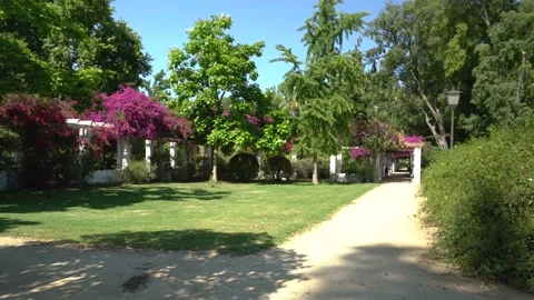 The Parque de Maria Luisa on a summer morning. Seville, Andalusia, Spain. 库存影片 160075257