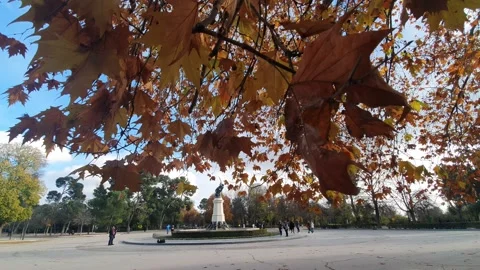 Parque del Retiro in Madrid and in the background a fountain Stock Footage 224871877