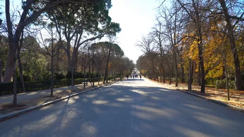 Parque del Retiro, Madrid Video stock 101063907