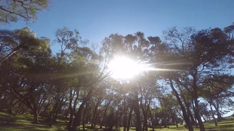 Parque em Gramado/RS Stock Footage 141950675