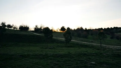 The Parque Forestal De Valdebebas in Madrid, Spain Stock Footage 124037774