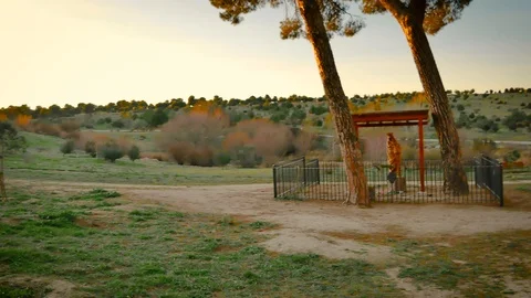 The Parque Forestal De Valdebebas in Madrid, Spain Stock Footage 124037821