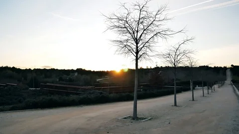 The Parque Forestal De Valdebebas in Madrid, Spain Stock Footage 124037935