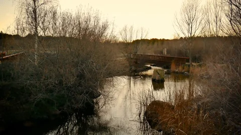 The Parque Forestal De Valdebebas in Madrid, Spain Stock Footage 124038233