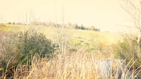 The Parque Forestal De Valdebebas in Madrid, Spain Stock Footage 124038885