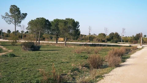 The Parque Forestal De Valdebebas in Madrid, Spain Stock Footage 124179878