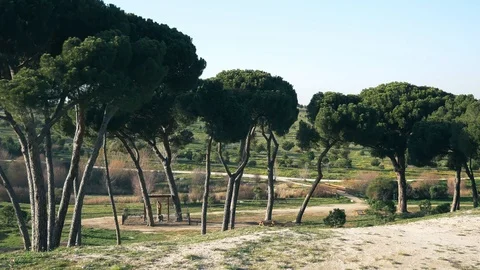 The Parque Forestal De Valdebebas in Madrid, Spain Stock Footage 124180045