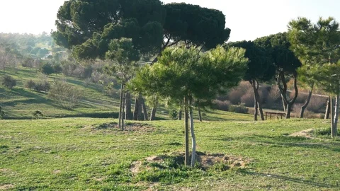 The Parque Forestal De Valdebebas in Madrid, Spain Stock Footage 124180080