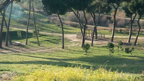 The Parque Forestal De Valdebebas in Madrid, Spain Stock Footage 124180095
