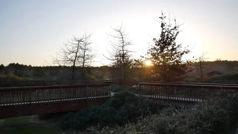 The Parque Forestal De Valdebebas in Madrid, Spain Stock Footage 124328136