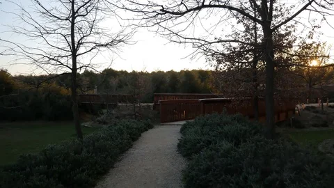 The Parque Forestal De Valdebebas in Madrid, Spain Stock Footage 124328145