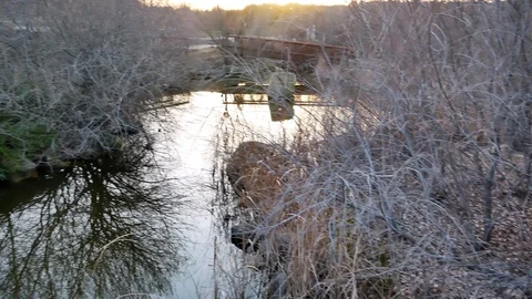 The Parque Forestal De Valdebebas in Madrid, Spain Stock Footage 124328276