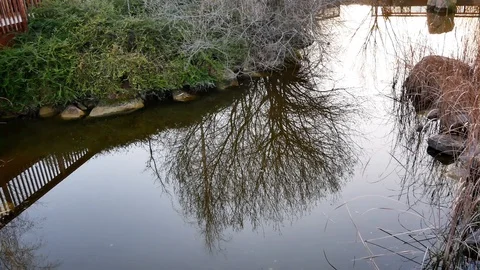 The Parque Forestal De Valdebebas in Madrid, Spain Stock Footage 124328328