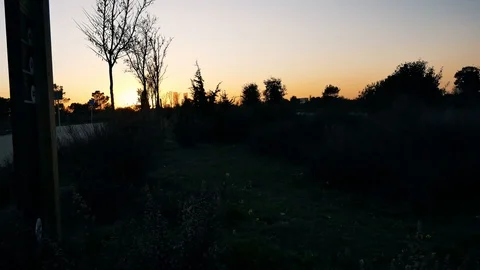 The Parque Forestal De Valdebebas in Madrid, Spain Stock Footage 124332324