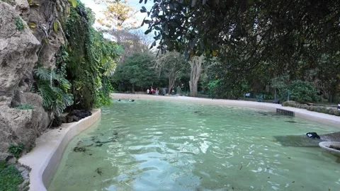 Parque Genovés, Cádiz Stock Footage 296594908