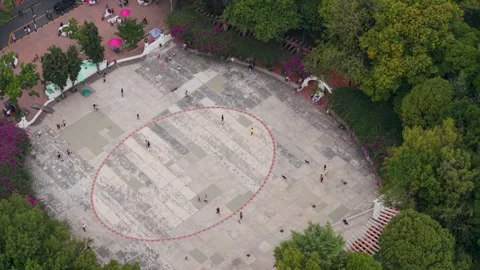 Parque México, green area within Mexico City in Condesa area Vídeo Stock 318201193