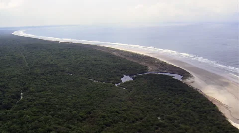 Parque Nacional Do Superagui 스톡 동영상 65443296