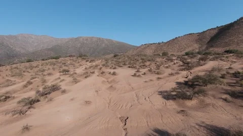 Parque Panul Stock Footage 164850876