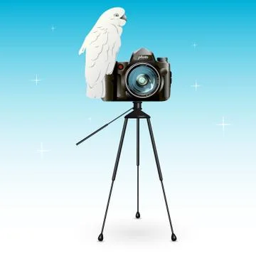 Parrot and camera Stock Illustration