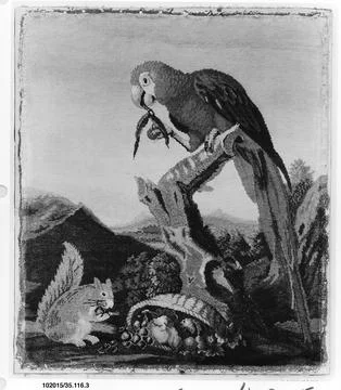 Parrot and squirrel mid-18th century Savonnerie Manufactory. Parrot and squ.. Foto stock