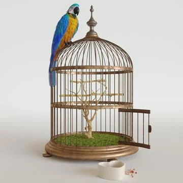 Parrot Ara 3D Model