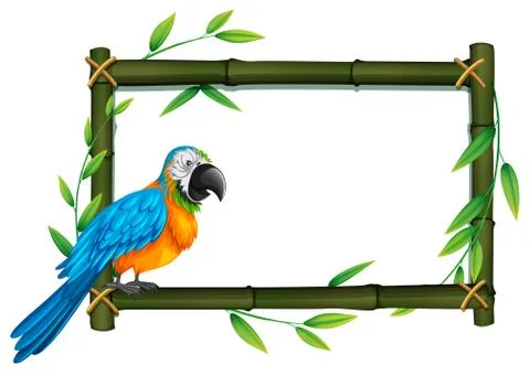 A parrot on bamboo border 스톡 일러스트