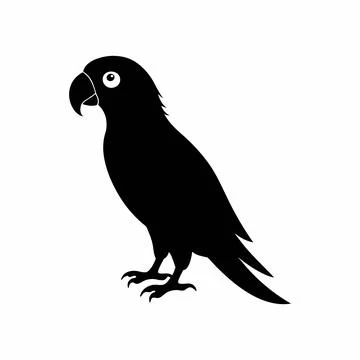 Parrot bird Stock Illustration