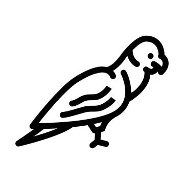 Parrot bird line icon vector illustration Stock Illustration