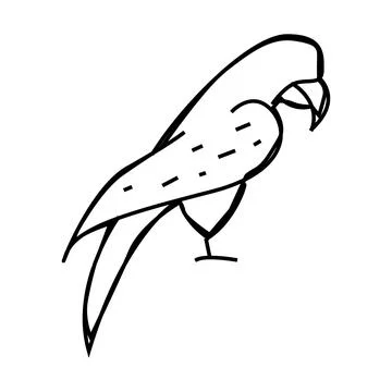 Parrot bird line icon vector illustration Illustrazione stock