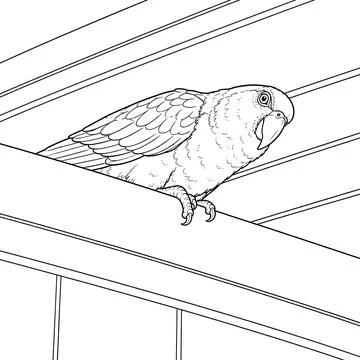 Parrot bird perched on a ledge line art illustration coloring page with par.. Stock Illustration