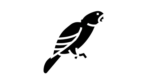Parrot bird pet glyph icon animation Stock Footage 164593637