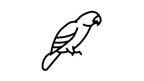 Parrot bird pet line icon animation Stock Footage 164587665