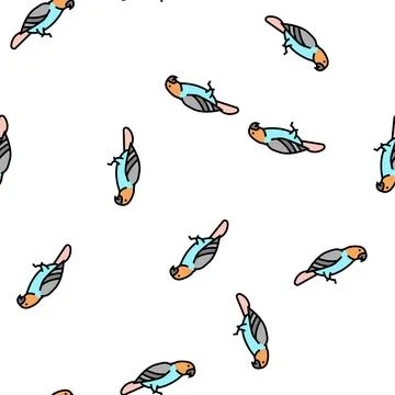 Parrot bird pet vector seamless pattern イラスト素材