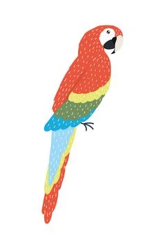 Parrot bird specie イラスト素材