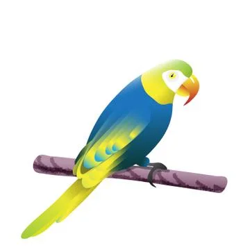 Parrot bird vector illustration Illustrazione stock