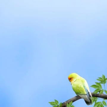 Parrot in a branch on blue background Illustrazione stock