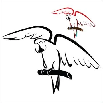 Parrot on branch Stock Illustration