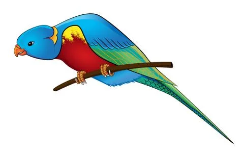 Parrot on a branch Stock Illustration
