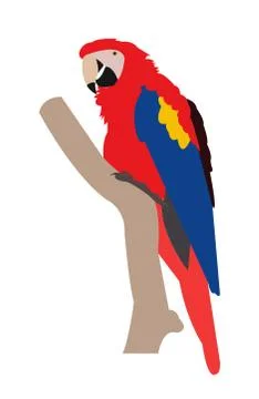 Parrot on a branch Illustrazione stock