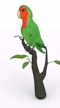 Parrot on branch with white background 스톡 일러스트